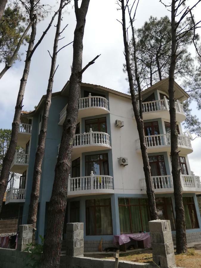 Hotel Shekvetili Šekvetili Exteriér fotografie